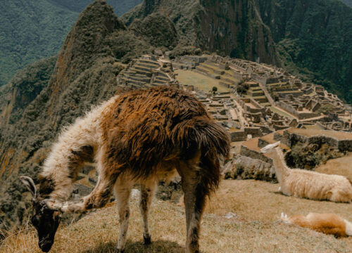Camino Inca A Machupicchu 2D/1N