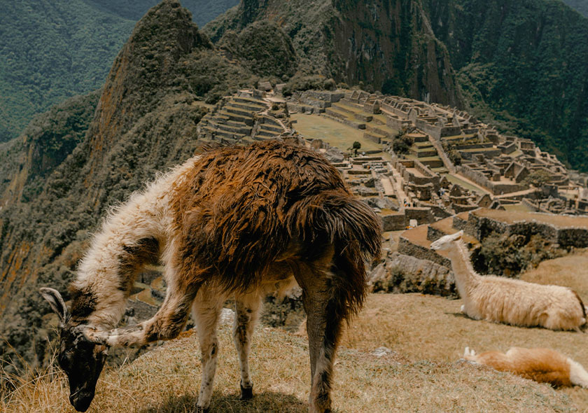 Camino Inca A Machupicchu 4D/3N