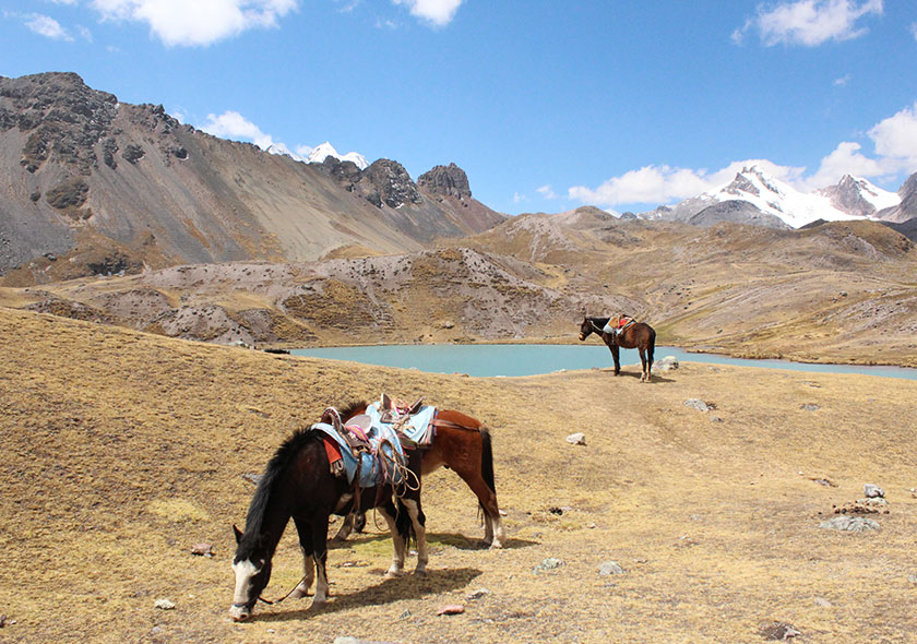 Siete Lagunas Caminata
